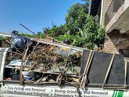 Best Construction Debris Removal  in Louisiana, MO